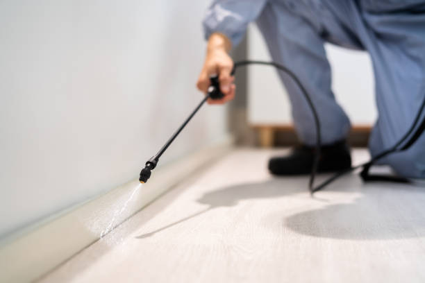 Licensed Ant Control service in Myrtletown, CA - Nex Pest Control