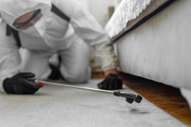 Professional Ant Control technician working in Myrtletown, CA