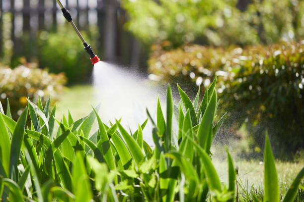 24/7 Emergency Ant Control experts in Myrtletown, CA